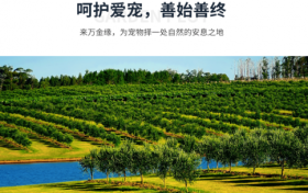 万金缘：宠物纪念与自然共生的爱心之地